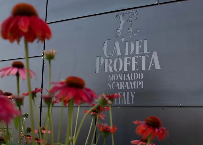 Ca' Del Profeta &
