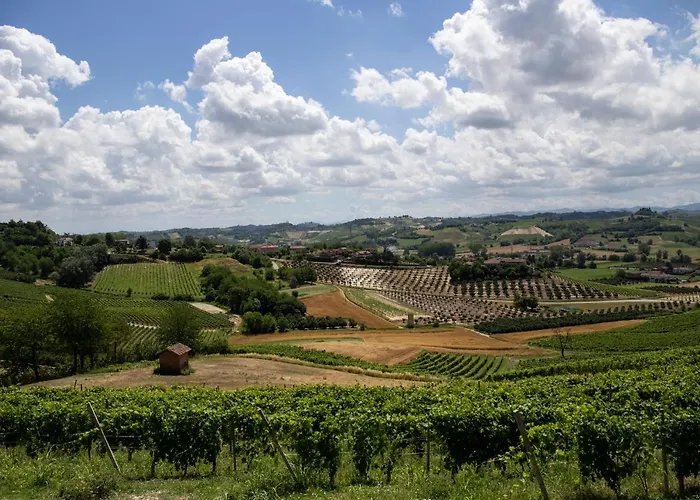 Ca' Del Profeta & Montegrosso dʼAsti